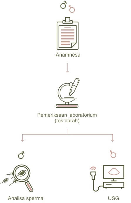 diagnosis infertilitas