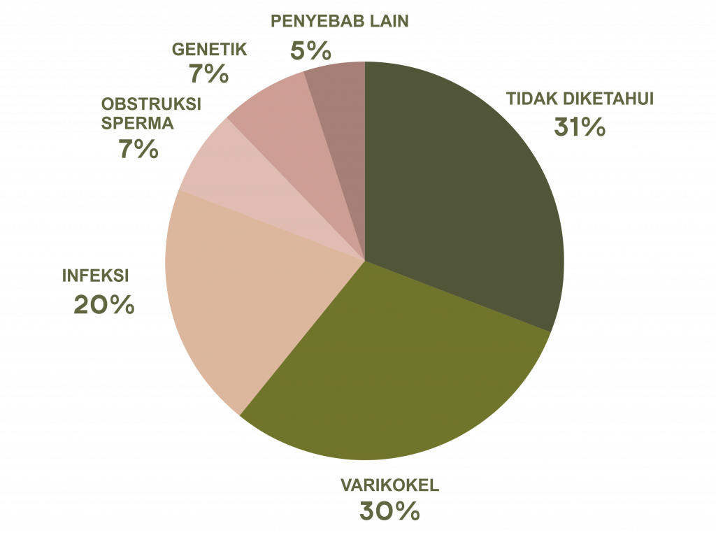 penyebab infertilitas pria