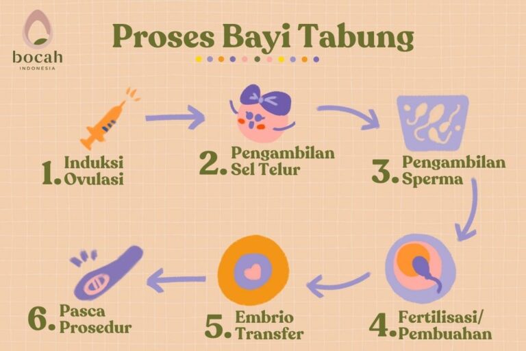 Proses Bayi Tabung