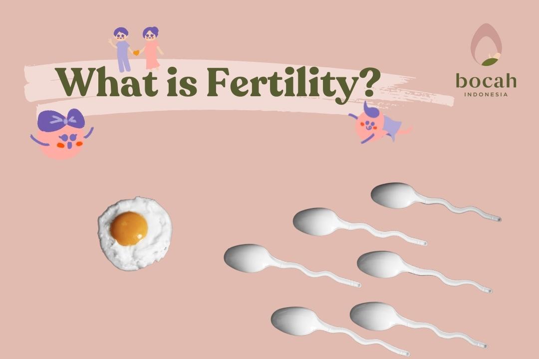 what is fertility