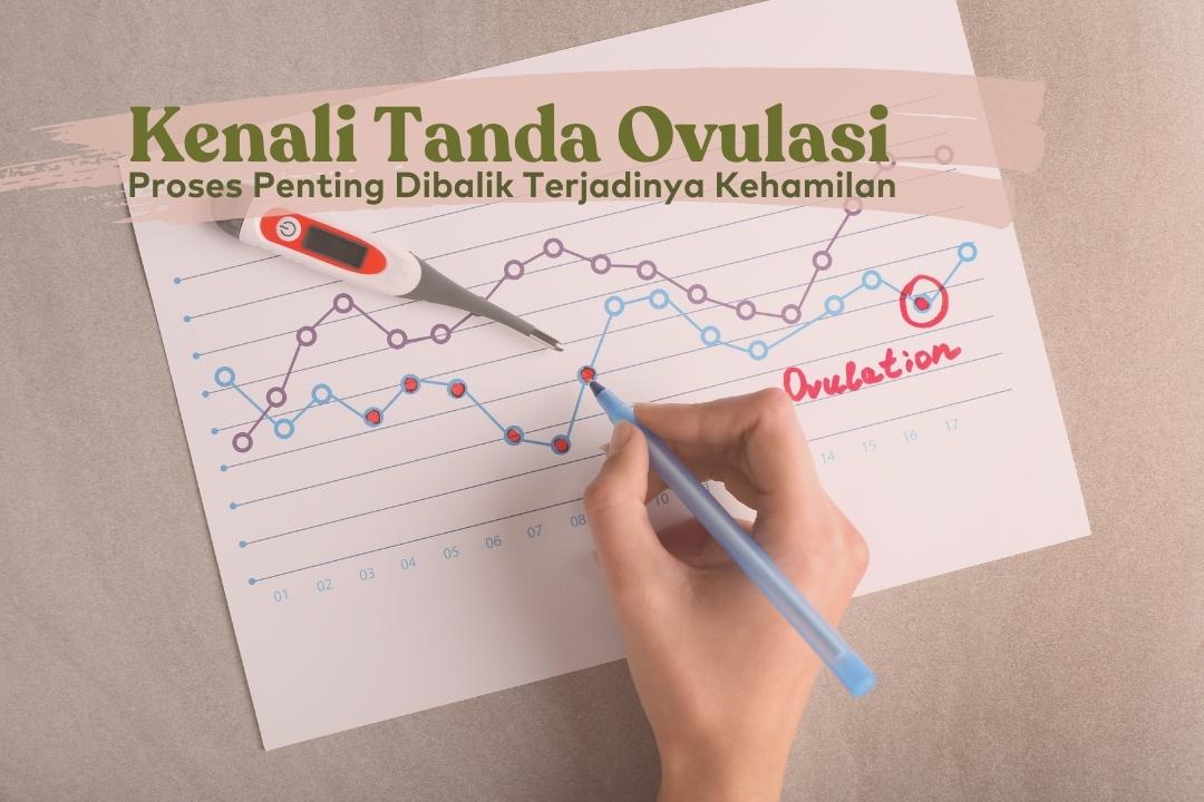 Ovulasi