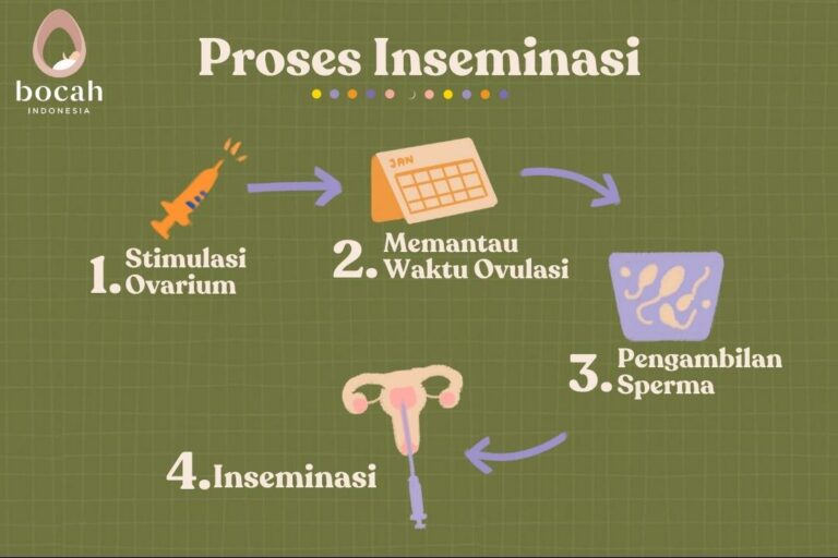 proses Inseminasi buatan