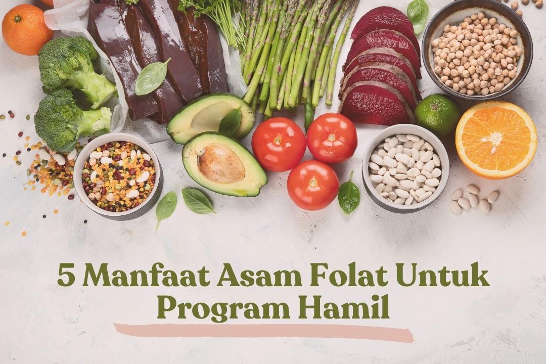 asam folat untuk program hamil