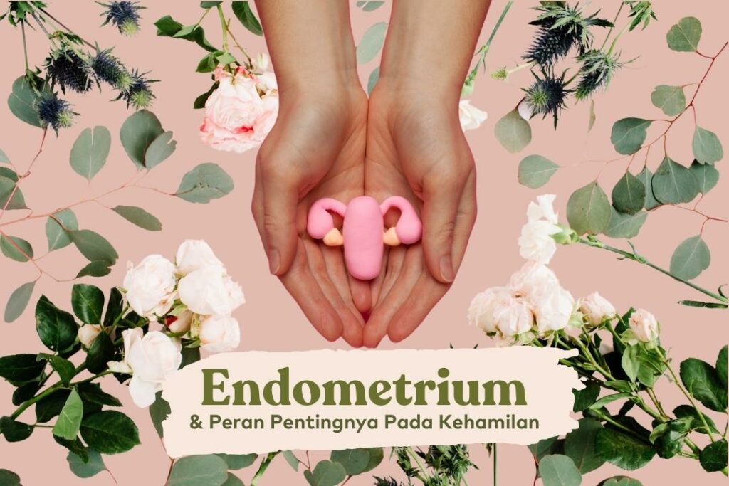 endometrium dinding rahim pada kehamilan