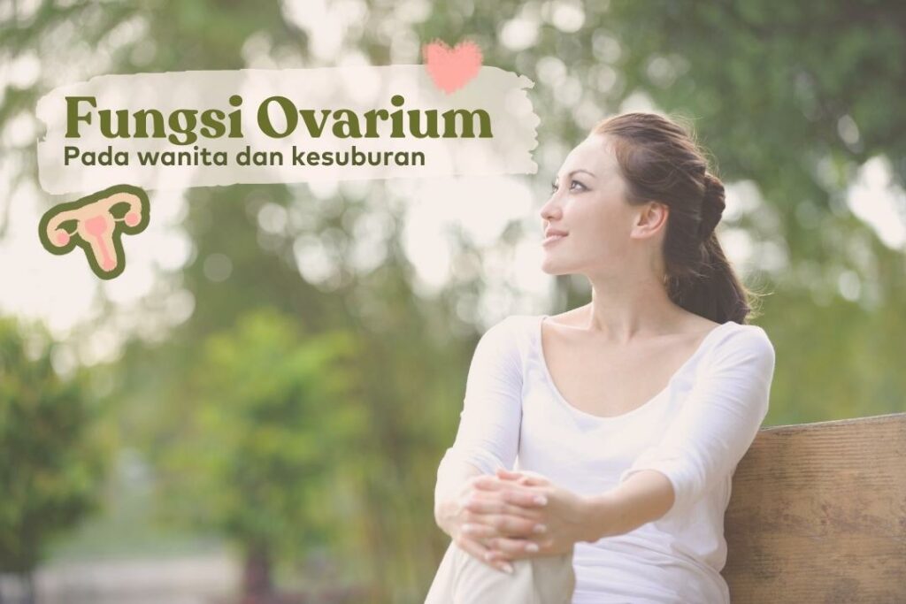 fungsi ovarium