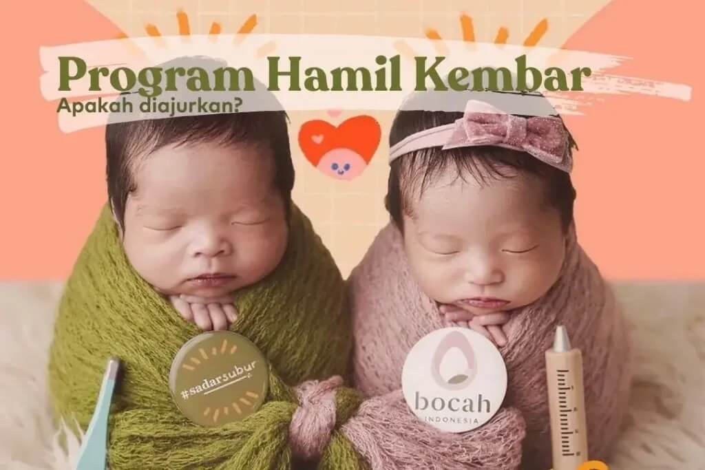 program-hamil-kembar