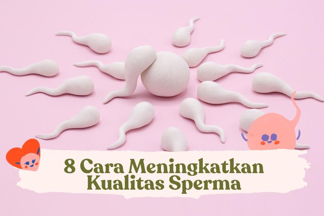 cara meningkatkan kualitas sperma