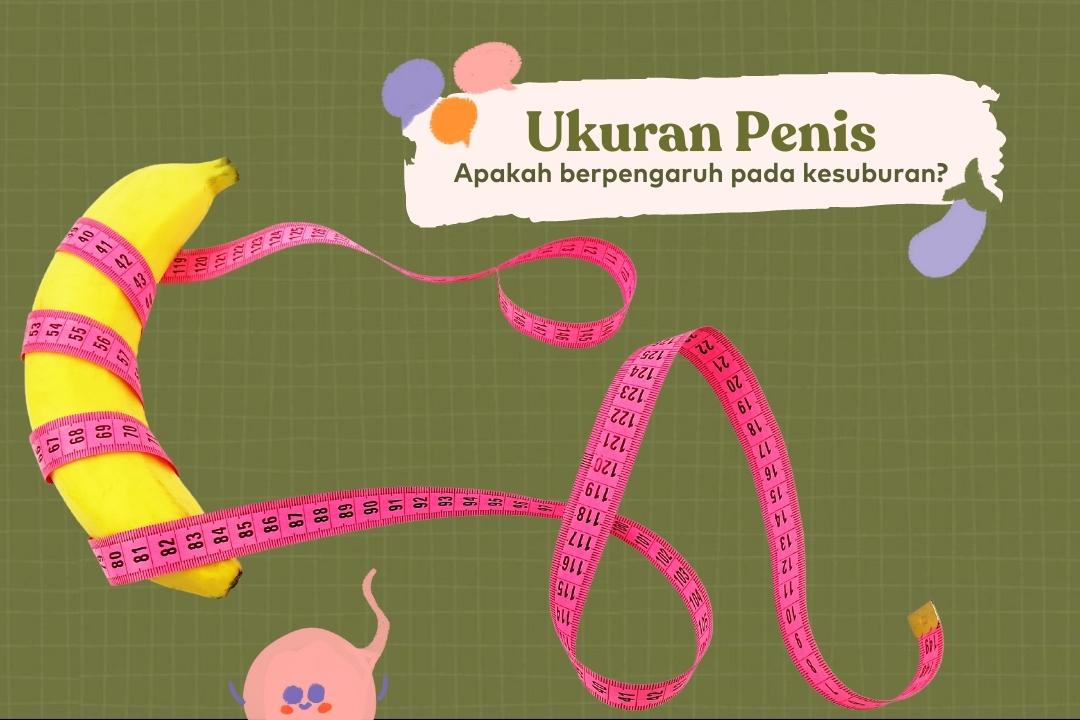 ukuran penis normal