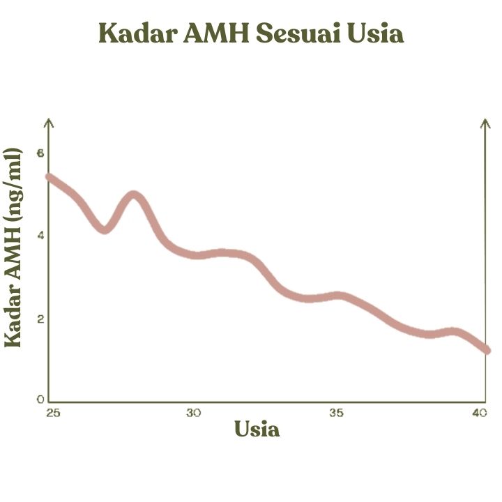 Kadar AMH sesuai usia