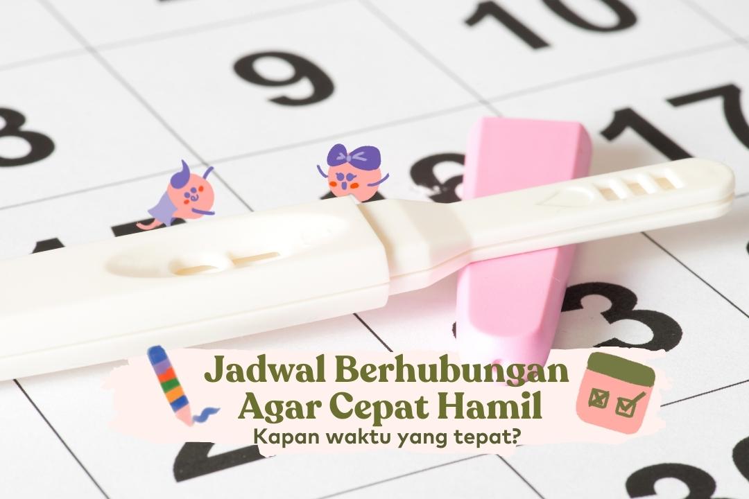 jadwal berhubungan agar cepat hamil