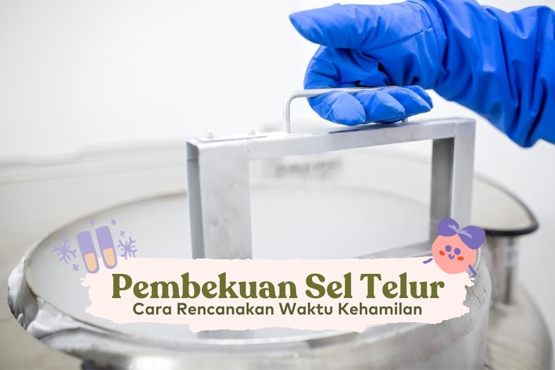 pembekuan sel telur