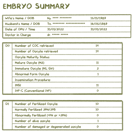 embryo summary