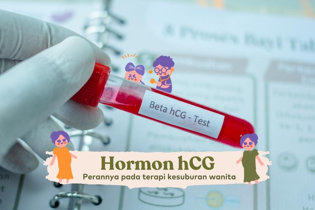 hormon hCG