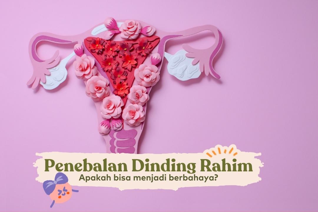 penebalan dinding rahim