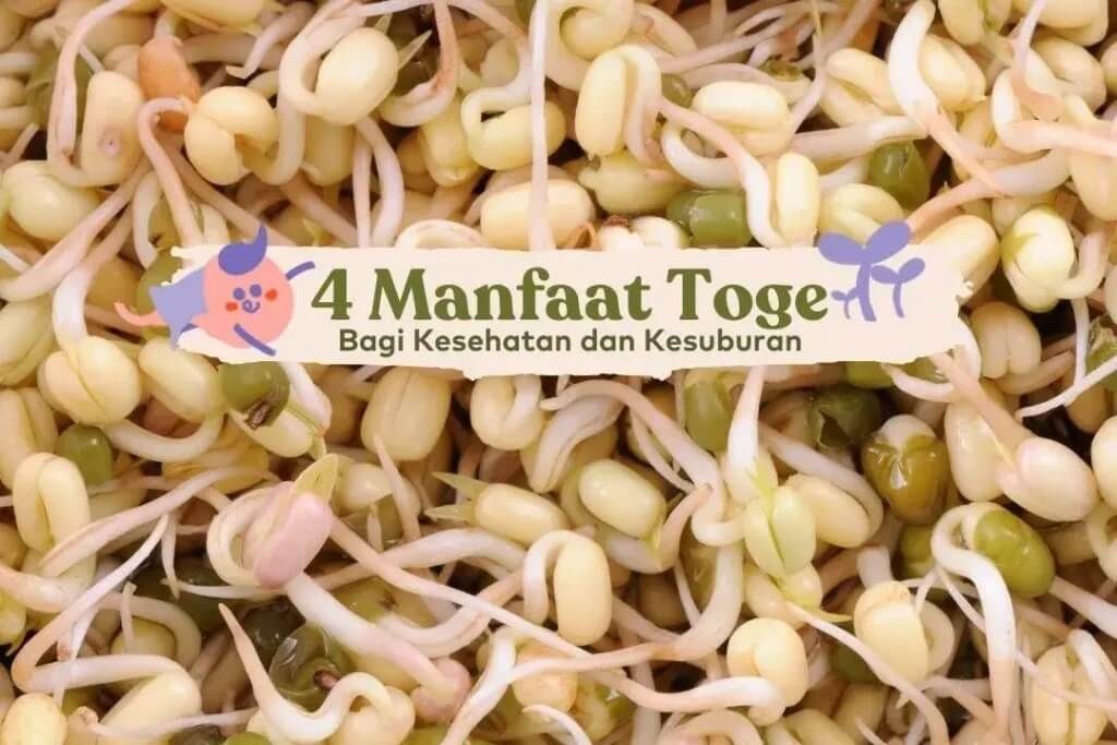 manfaat-toge