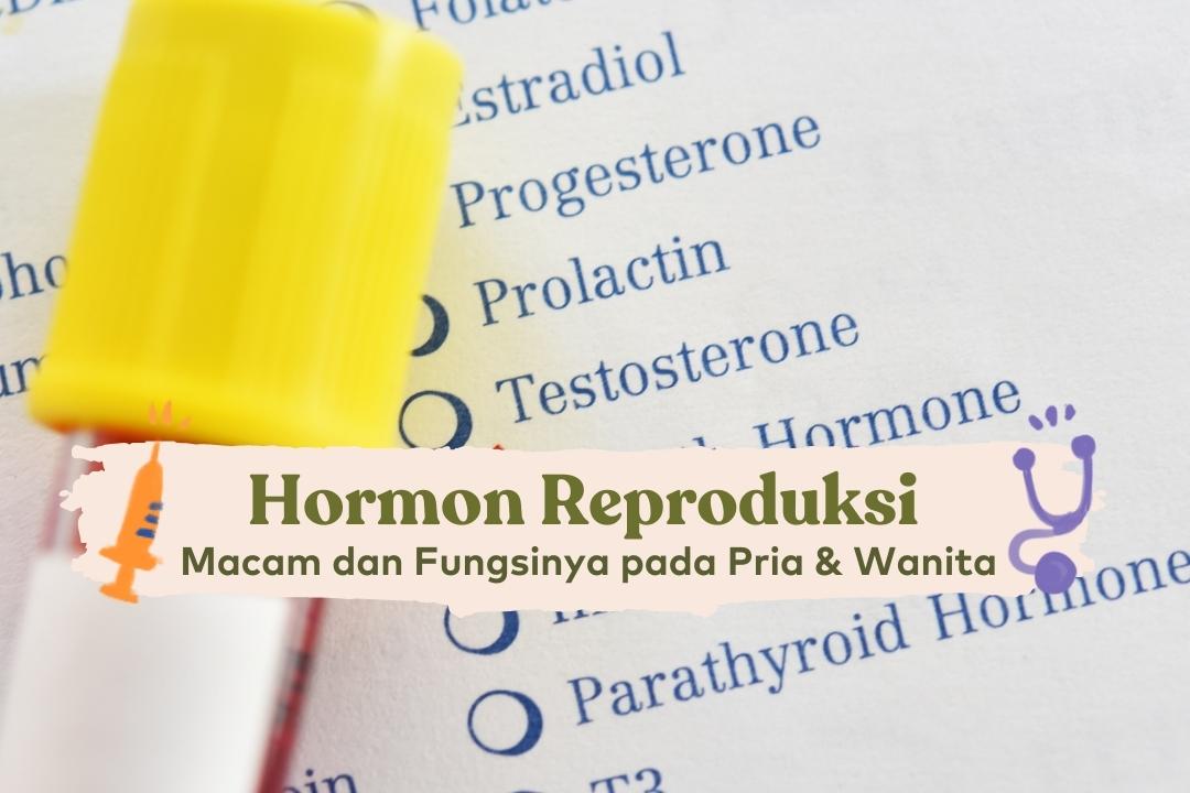 hormon reproduksi