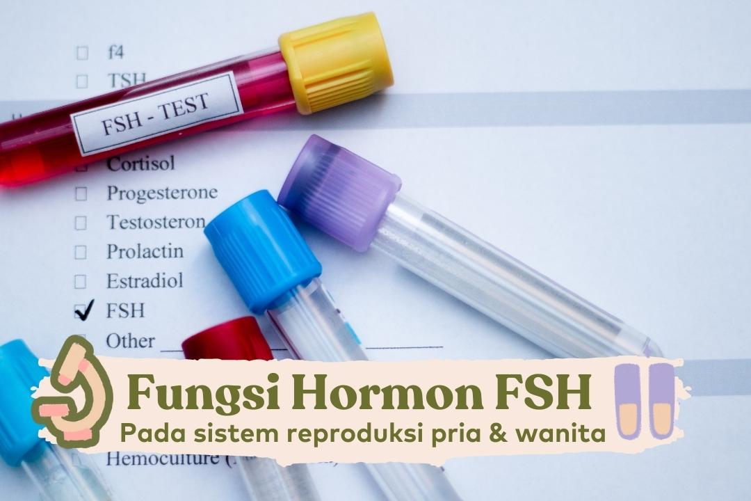 Hormon FSH