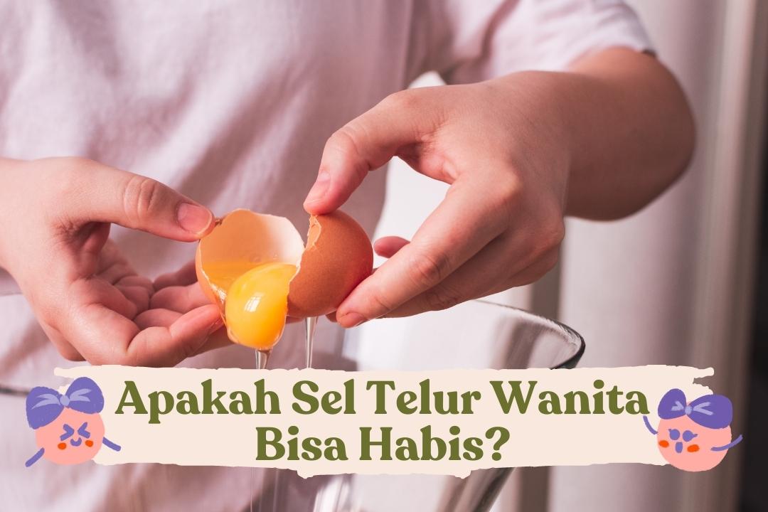 Sel telur bisa habis