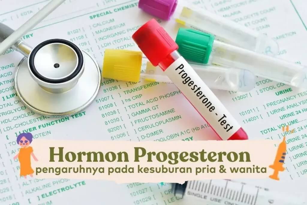 hormon-progesteron