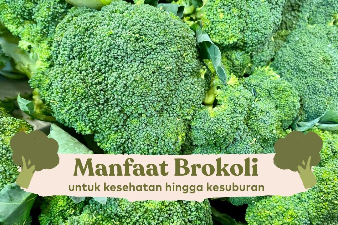 manfaat brokoli