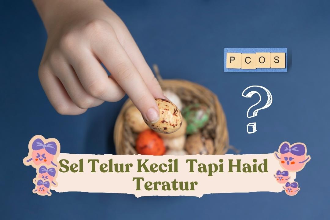 sel telur kecil tapi haid teratur