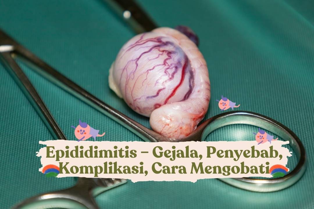 epididimitis adalah