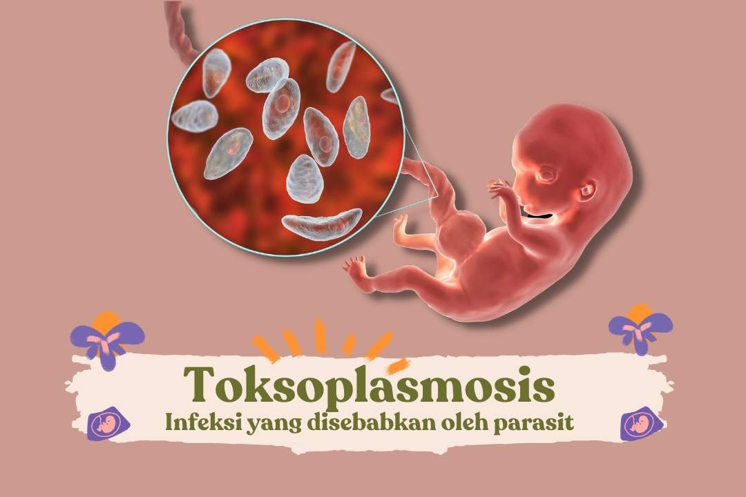 Toksoplasma adalah