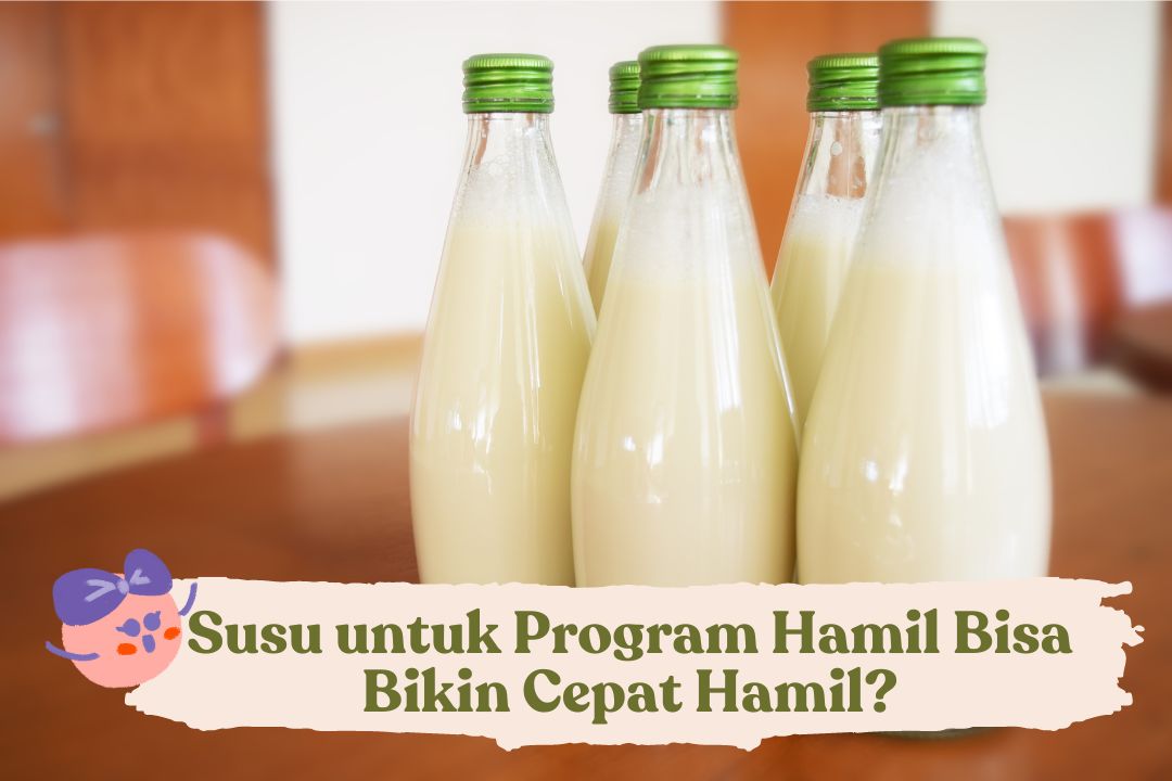 susu-untuk-program-hamil