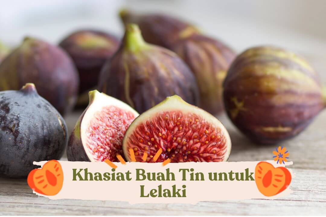 khasiat-buah-tin-untuk-lelaki