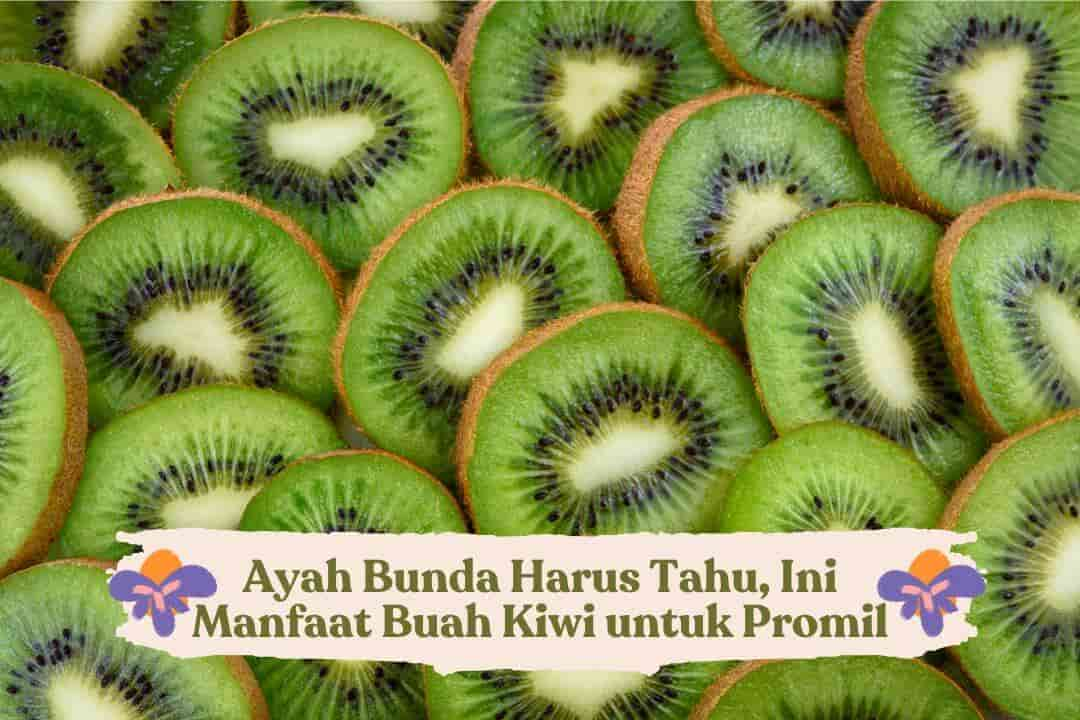 manfaat-buah-kiwi-untuk-promil