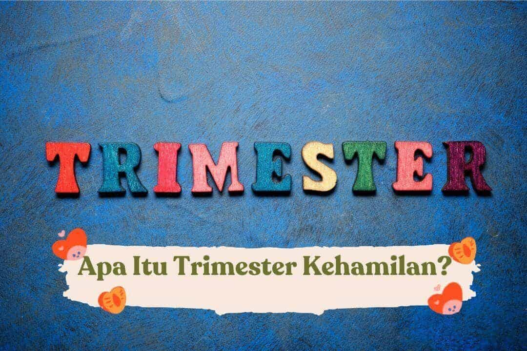 trimester-kehamilan