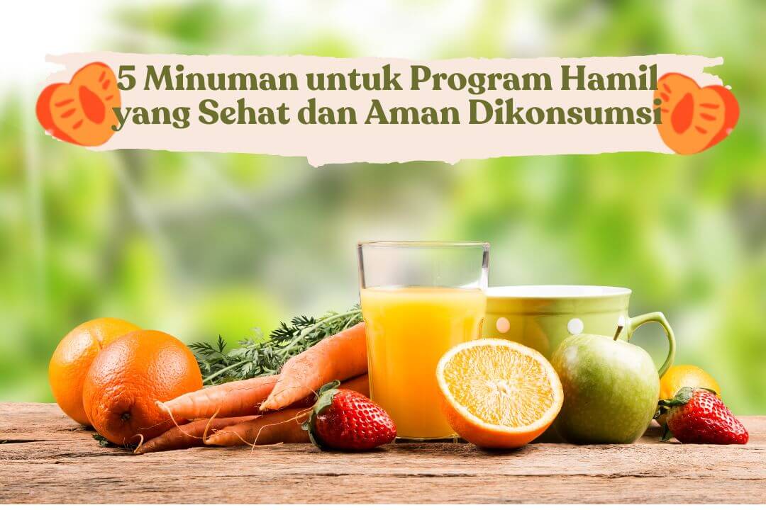 minuman-untuk-program-hamil