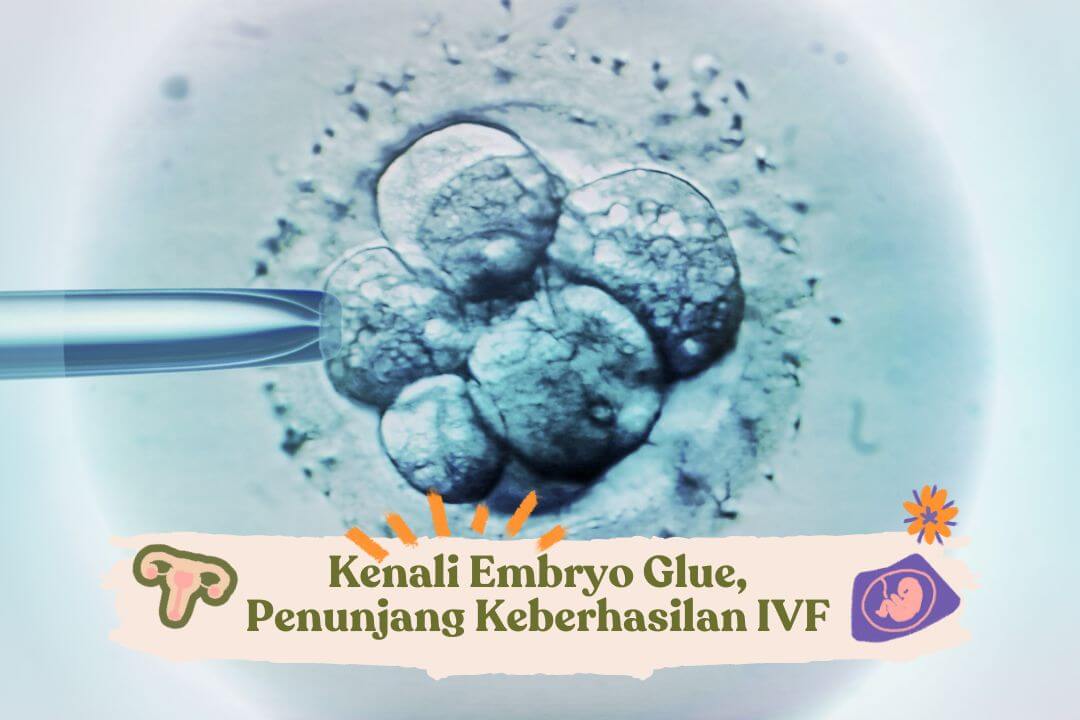 kenali-embryo-glue-penunjang-keberhasilan-ivf