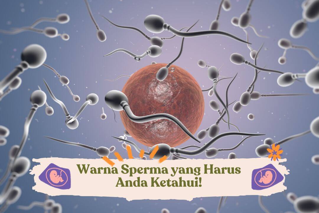 warna-sperma