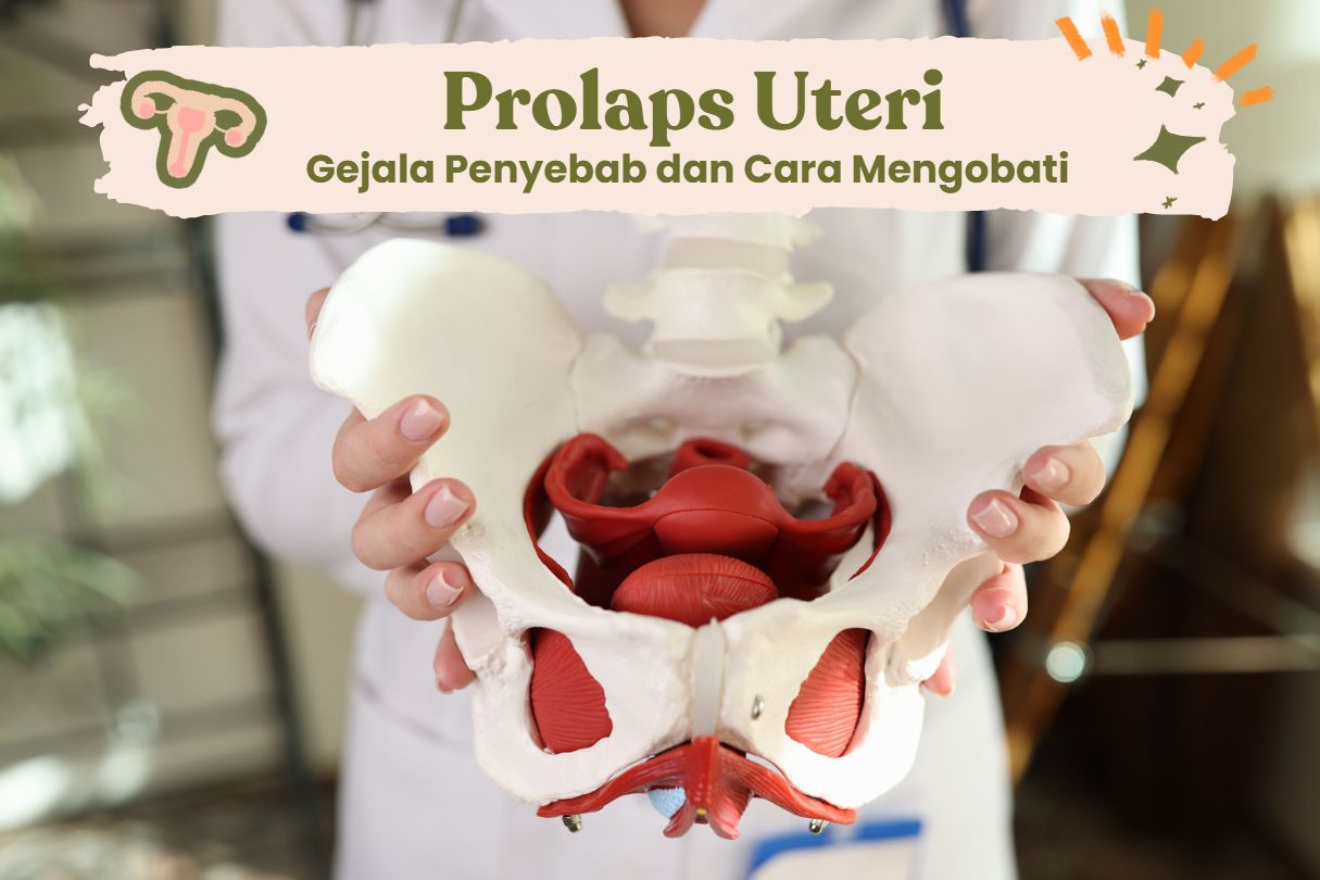 prolaps uteri rahim turun