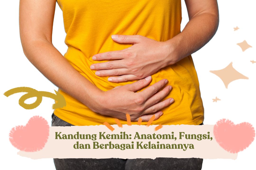 Kandung Kemih Anatomi, Fungsi, dan Berbagai Kelainannya