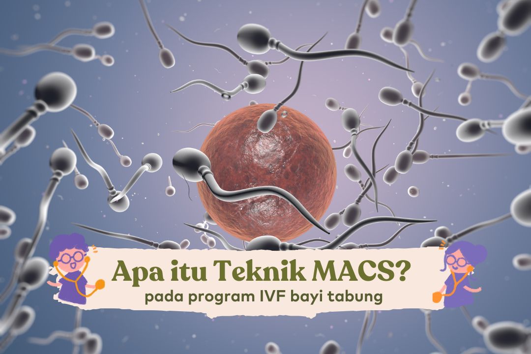 apa itu infertilitas