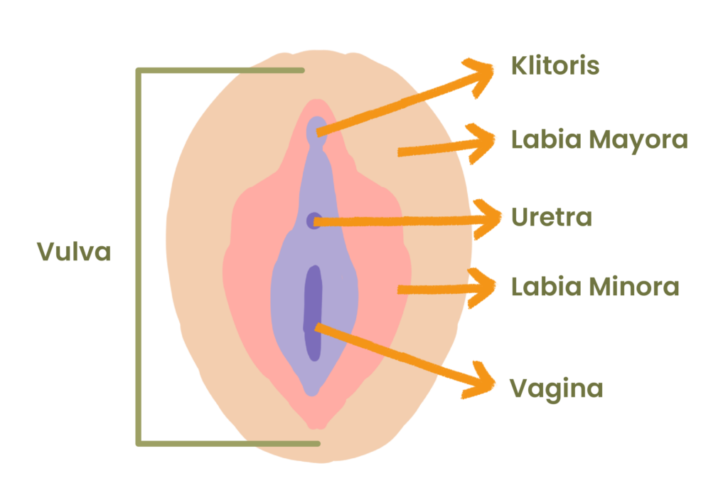 vagina gatal