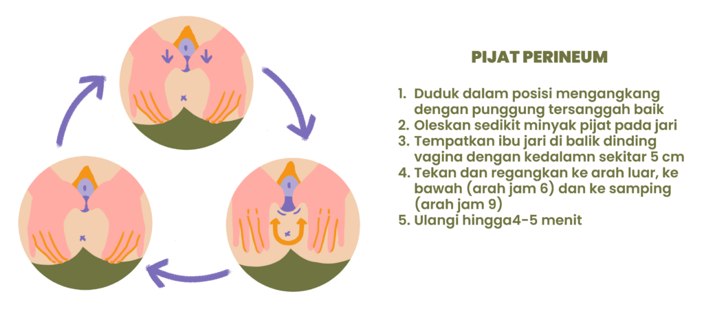 pijat perineum (2)