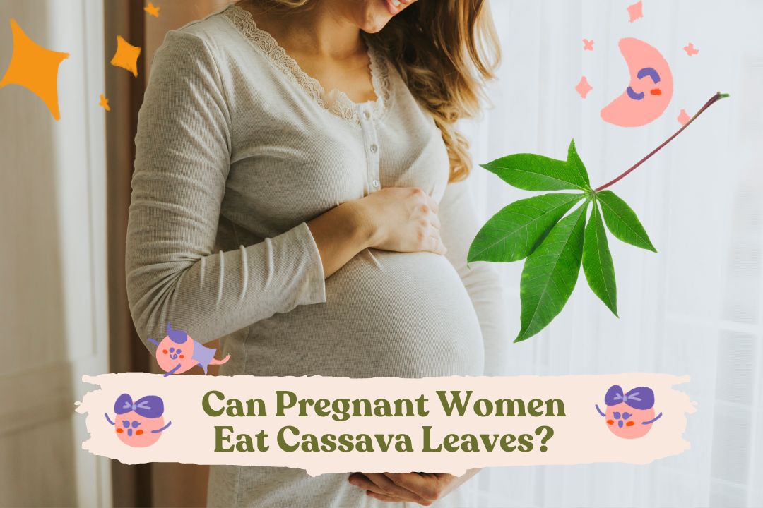 Can Pregnant Women Eat Cassava Leaves