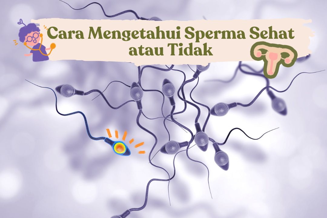 Cara Mengetahui Sperma Sehat atau Tidak