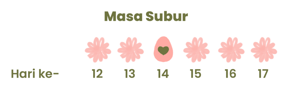 masa subur