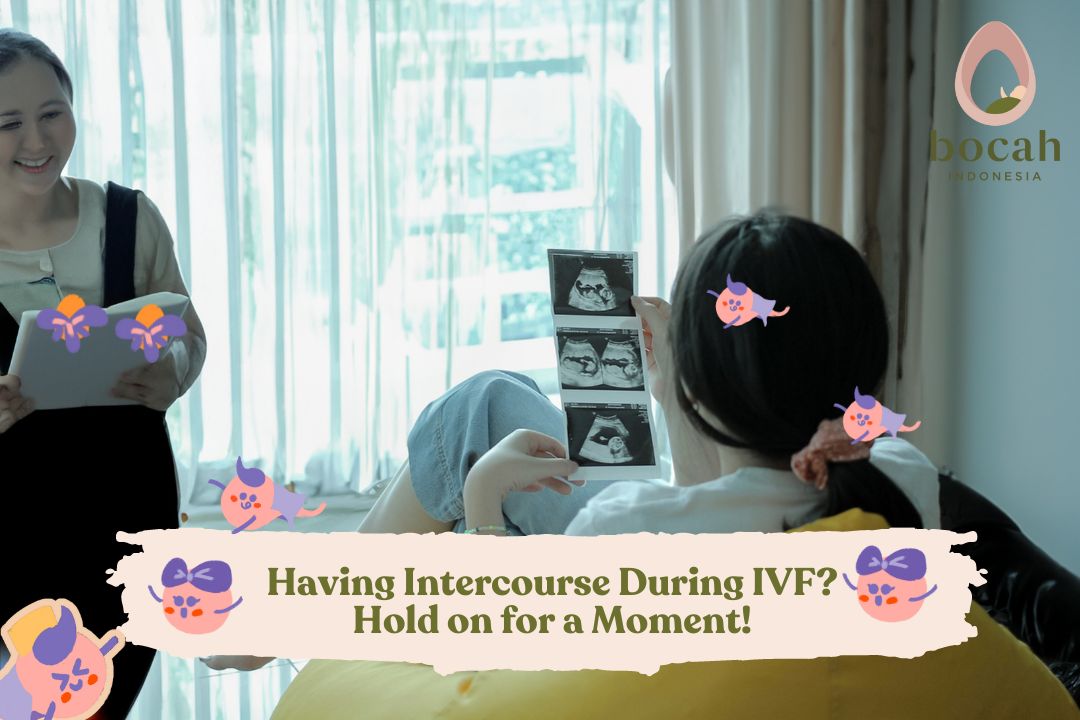 Having Intercourse During IVF Hold on for a Moment!