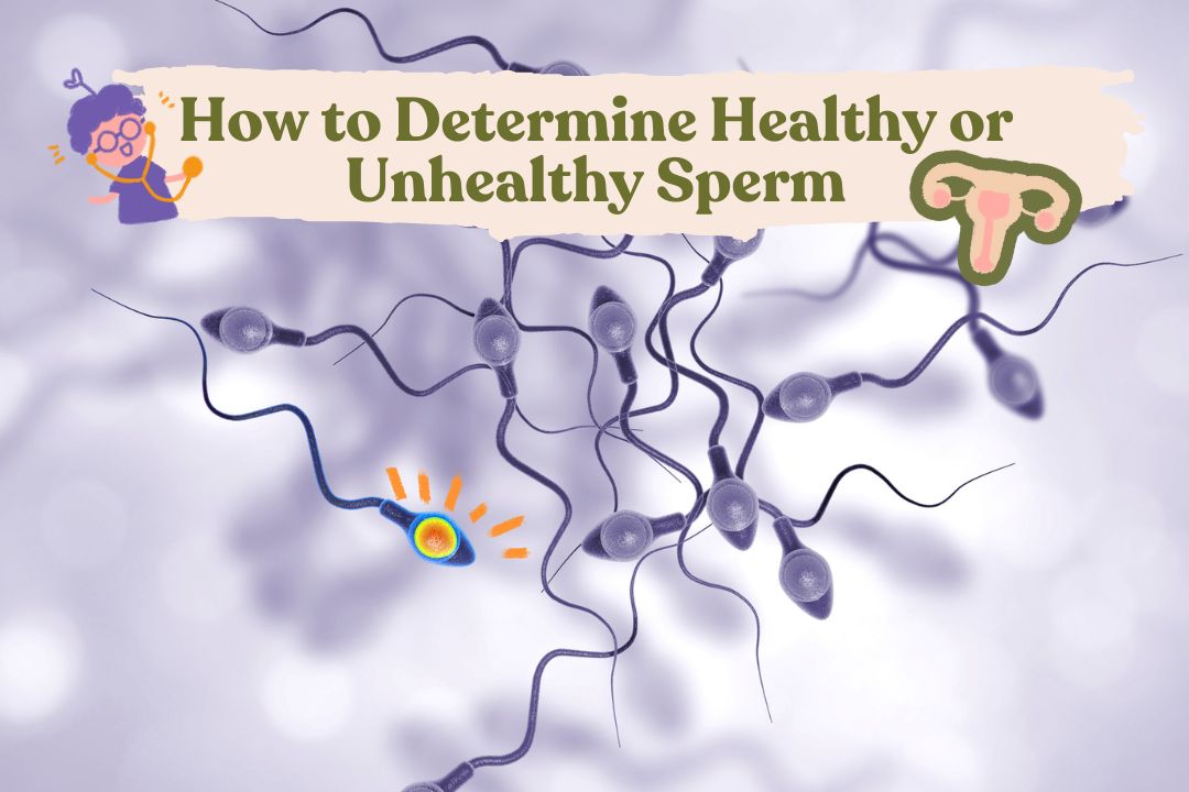 How to Determine Healthy or Unhealthy Sperm