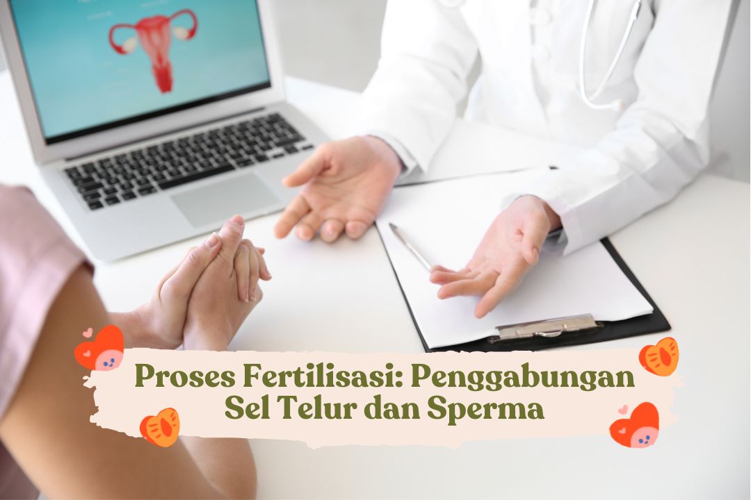 Proses Fertilisasi