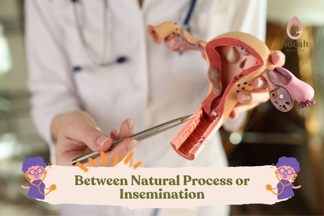 Between Natural Process or Insemination