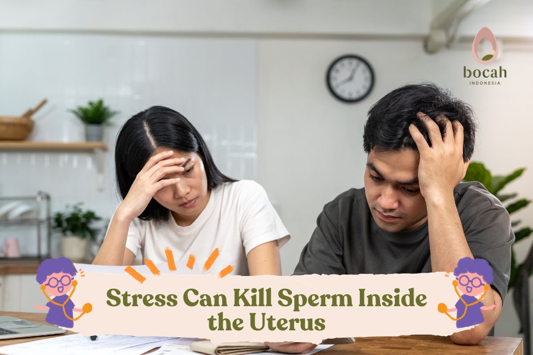 Stress Can Kill Sperm Inside the Uterus