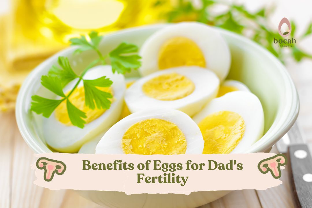 Benefits of Eggs for Dad's Fertility