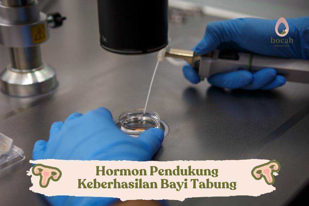 Hormon Pendukung Keberhasilan Bayi Tabung