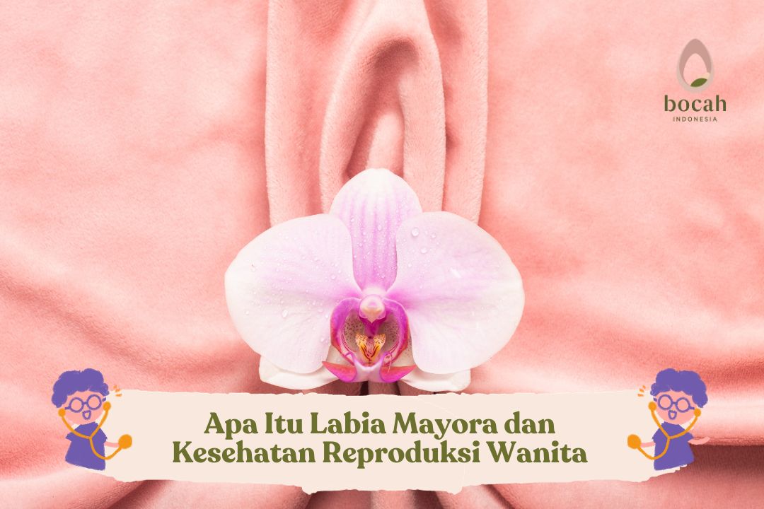 Mengetahui Labia Mayora dan Kesehatan Reproduksi Wanita